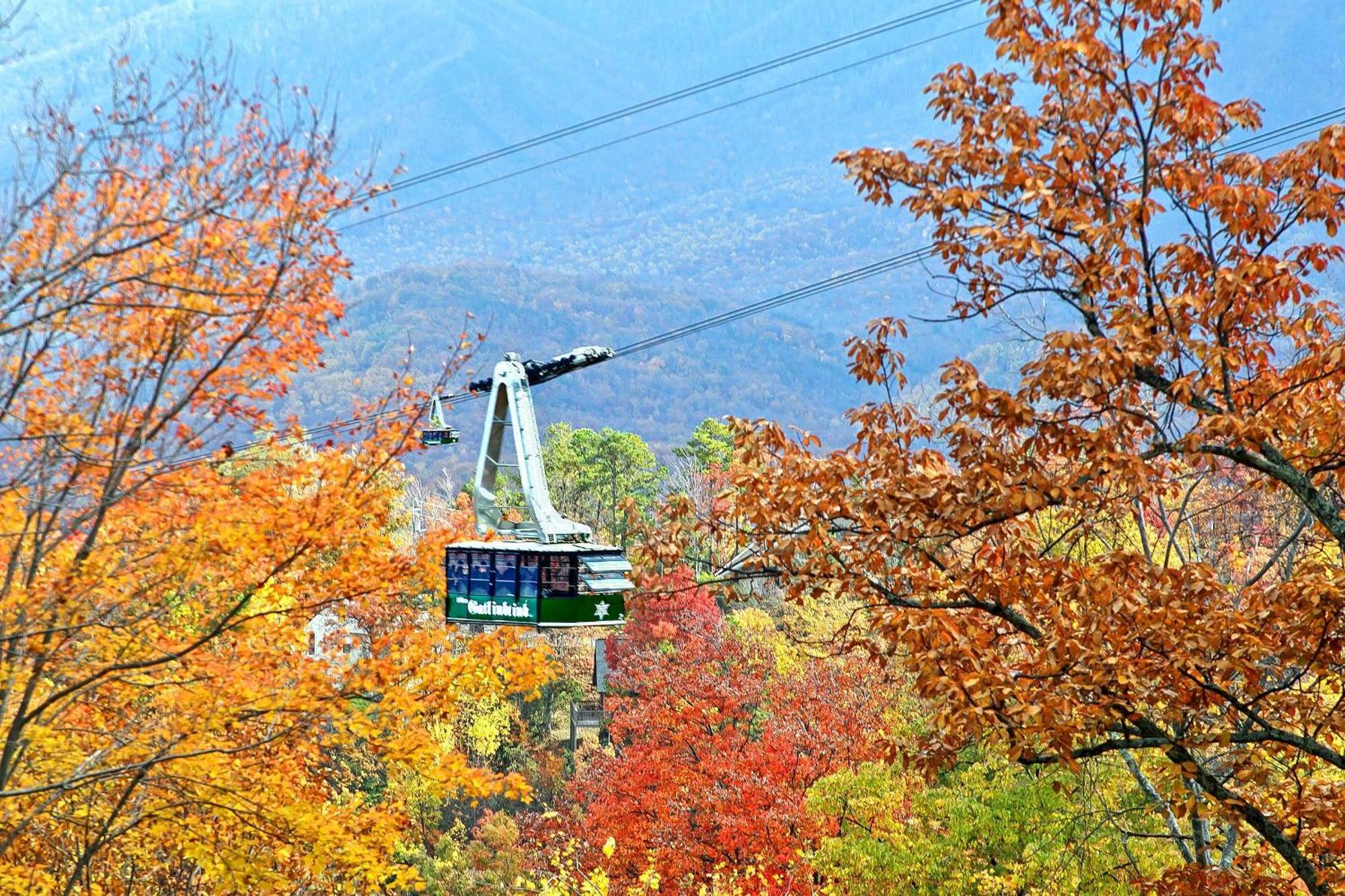 Vila Zen Garden #1523 Gatlinburg Exteriér fotografie