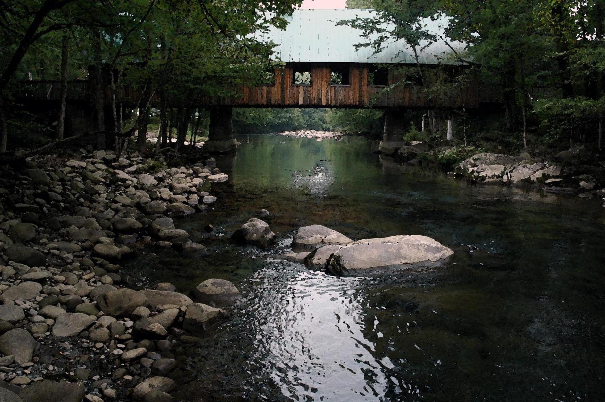 Vila Zen Garden #1523 Gatlinburg Exteriér fotografie